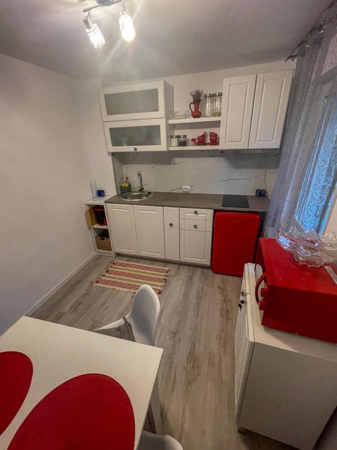 Buzz Apartment Cluj-Napoca Eksteriør billede
