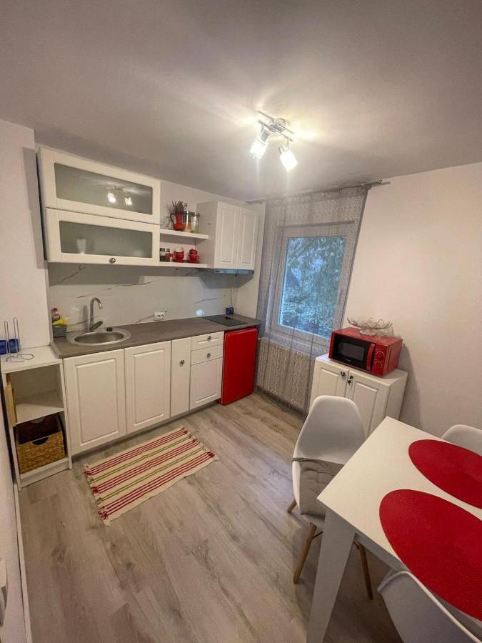 Buzz Apartment Cluj-Napoca Eksteriør billede