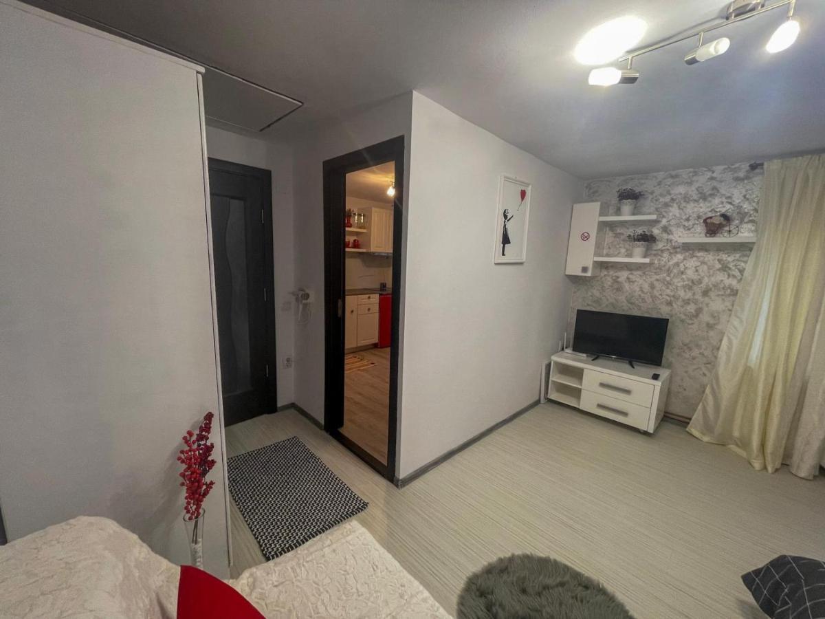 Buzz Apartment Cluj-Napoca Eksteriør billede