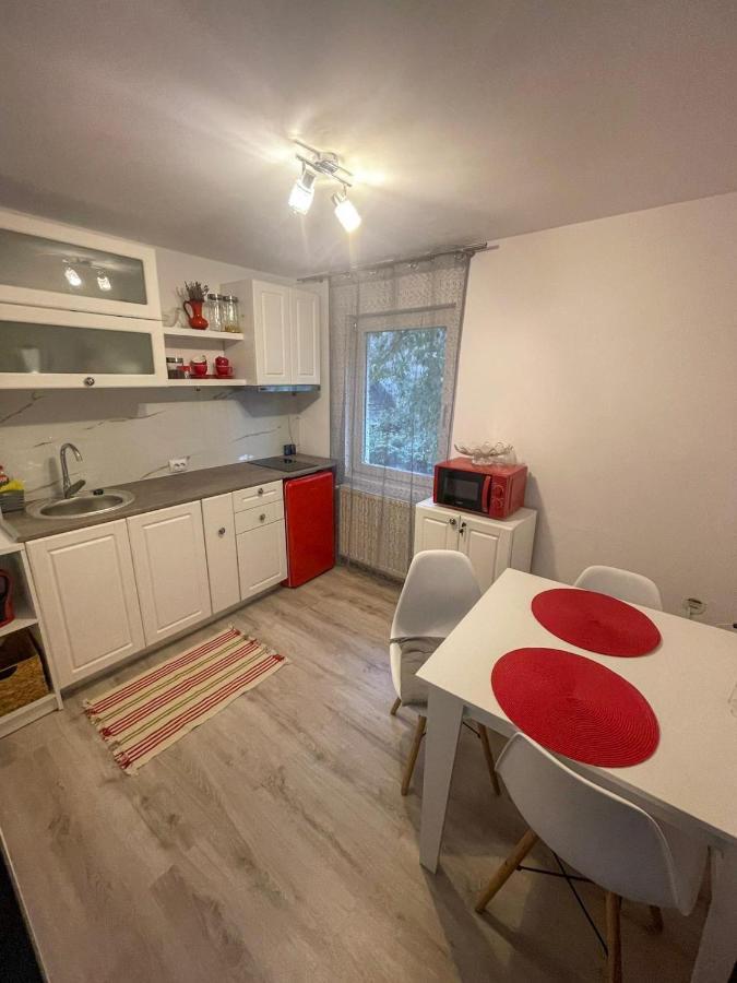 Buzz Apartment Cluj-Napoca Eksteriør billede